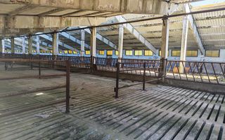 Spațiu industrial -fermă Orțișoara - Poză 6