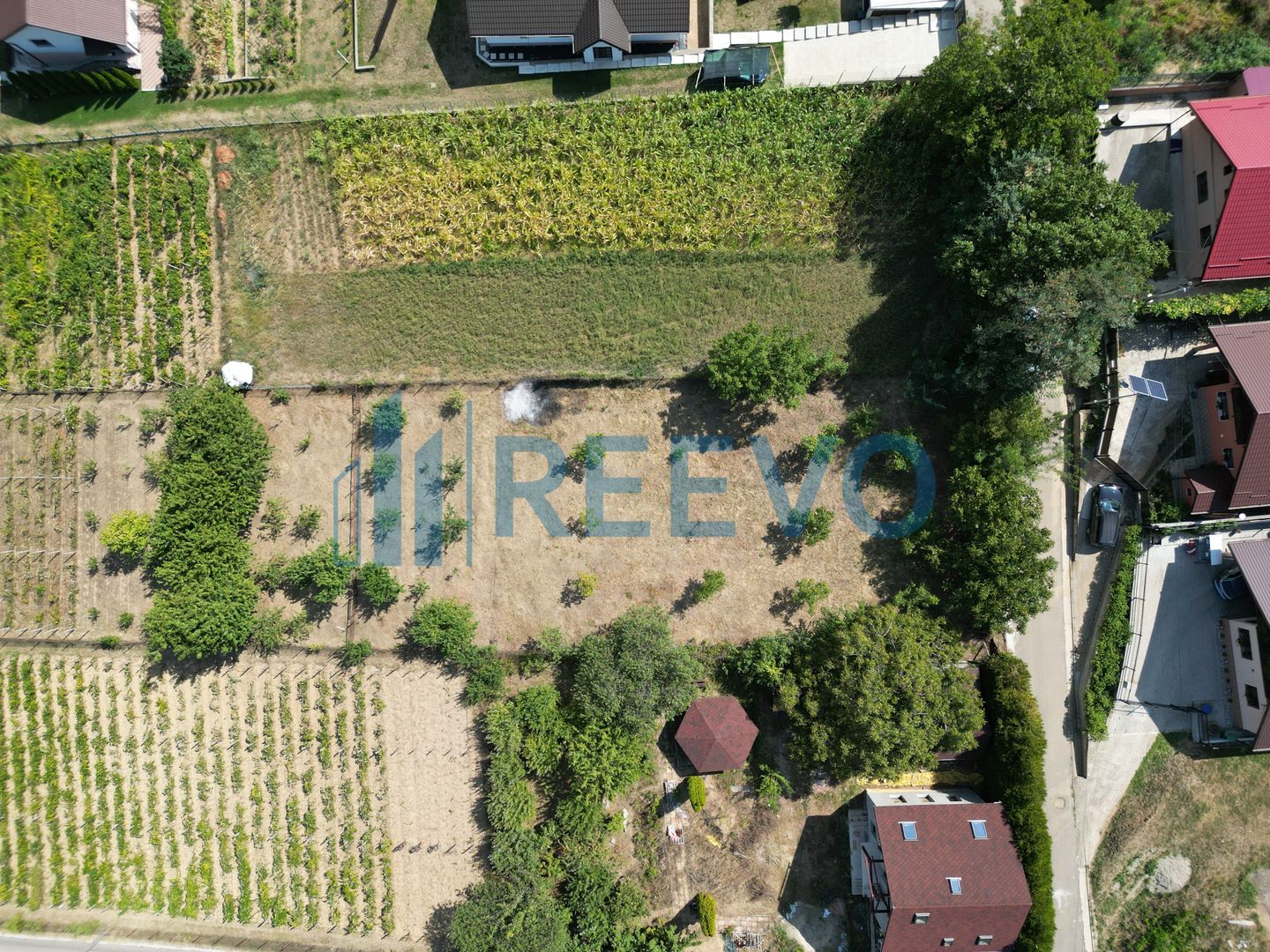 Teren de 1.000 mp în Barați ,Bacău - Poză 5
