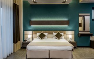 Theodor Pallady - Terasa Generoasa - Dezvoltator - Poză 4