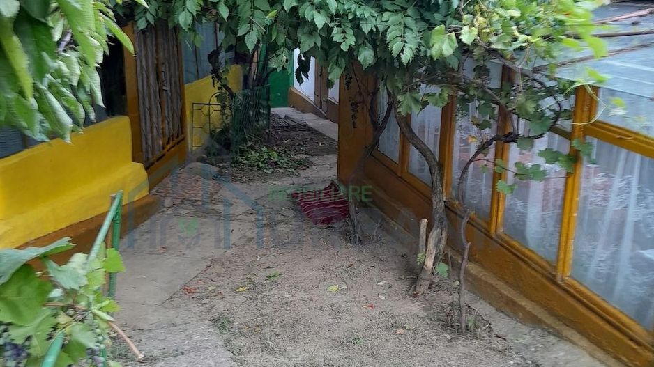 Gospodărie țărănească de vânzare cu 2 case și teren 6.700 mp, Cozia, jud. Iași - Poză 3