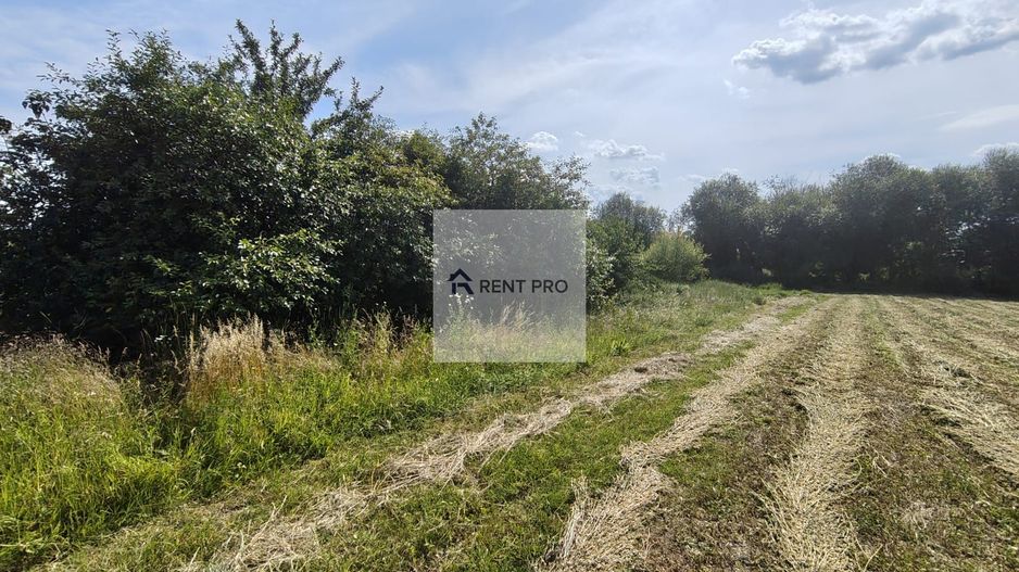 Teren de 11.000 mp cu casă și teren agricol | La 40 km de București | - Poză 15