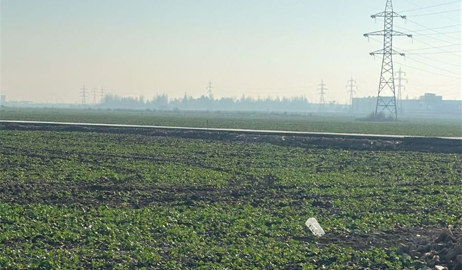 Teren de vânzare – Popești-Leordeni | 500 mp - Poză 9