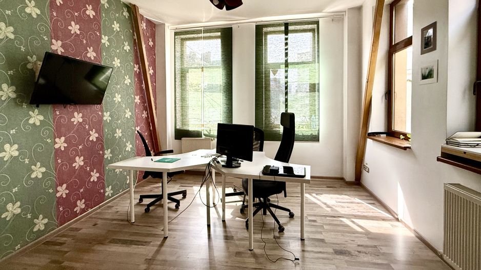 Casă spațioasă pentru birouri, zonă centrală, Eminescu-Vasile Lascar - Poză 11