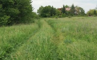 Teren Buftea cu iesire la lac - Poză 23