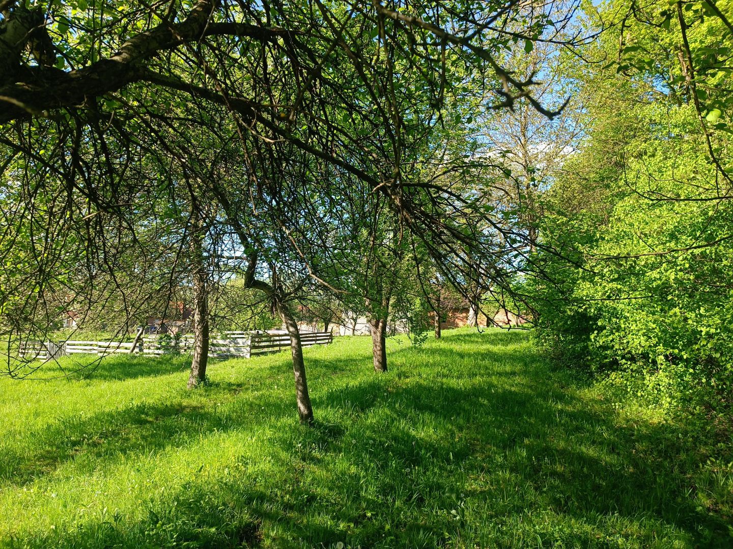 Descoperă căsuța ta de vis la poalele Munților Apuseni - Poză 22