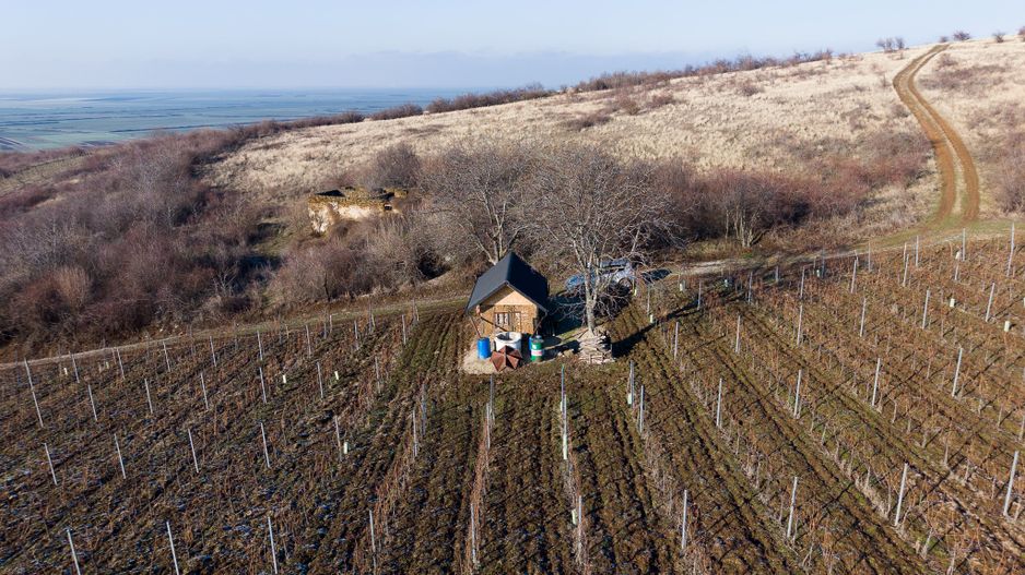 Vita-de-vie Premium  teren de 6800 mp în Covăsinț - Poză 9