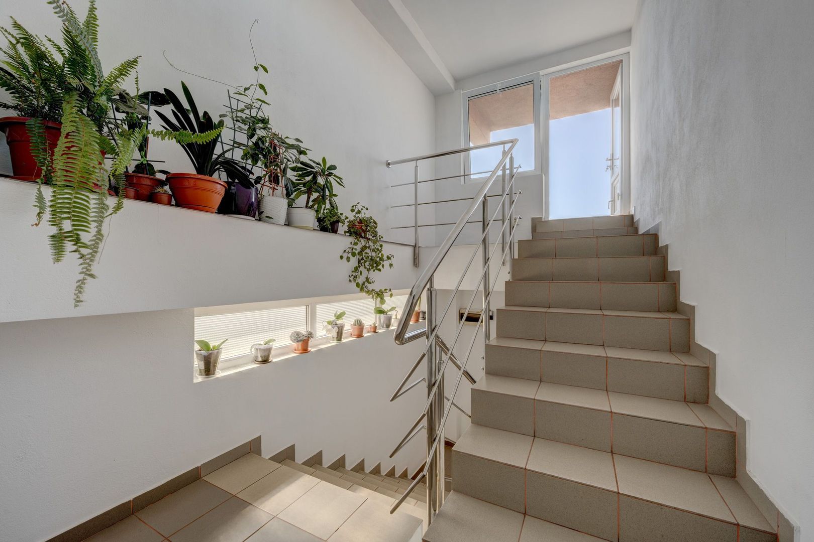 SI CASA SI AFACERE totul sub același acoperiș in Sector 5/Sălaj - LIDL - Poză 58