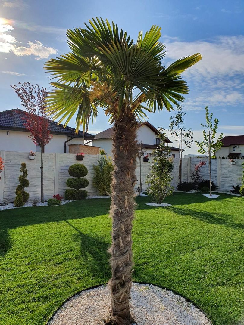 Casa individuala pe plan parter in Sanandrei - Poză 14