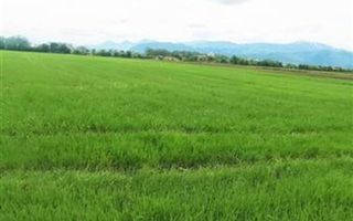 teren intravilan Stupini-Albinelor - Poză 11