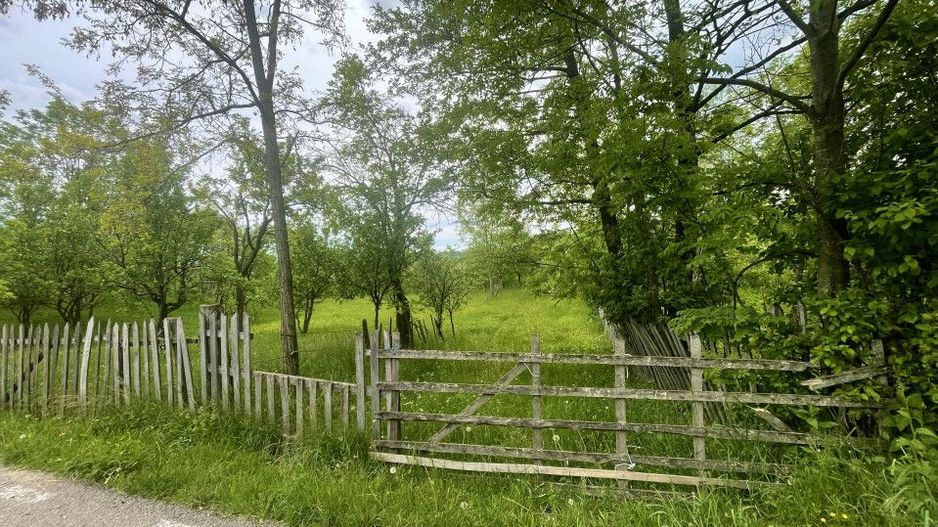 Teren intravilan Sotrile 6762 mp – Investitie, camping, agroturism - Poză 4