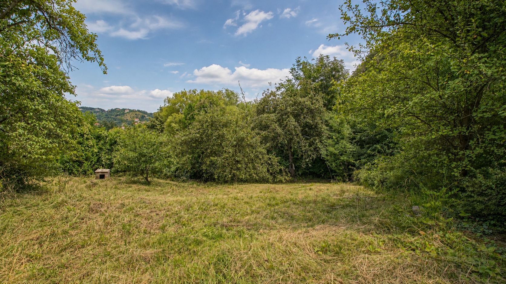 TEREN INTRAVILAN 1.498 MP CU CONSTRUCTIE | 3 FRONTURI STRADALE | SCHEI - Poză 14