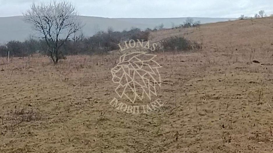 Teren 10000mp intravilan Chinteni 14 case aprobate  Investiție dezvoltator - Poză 3