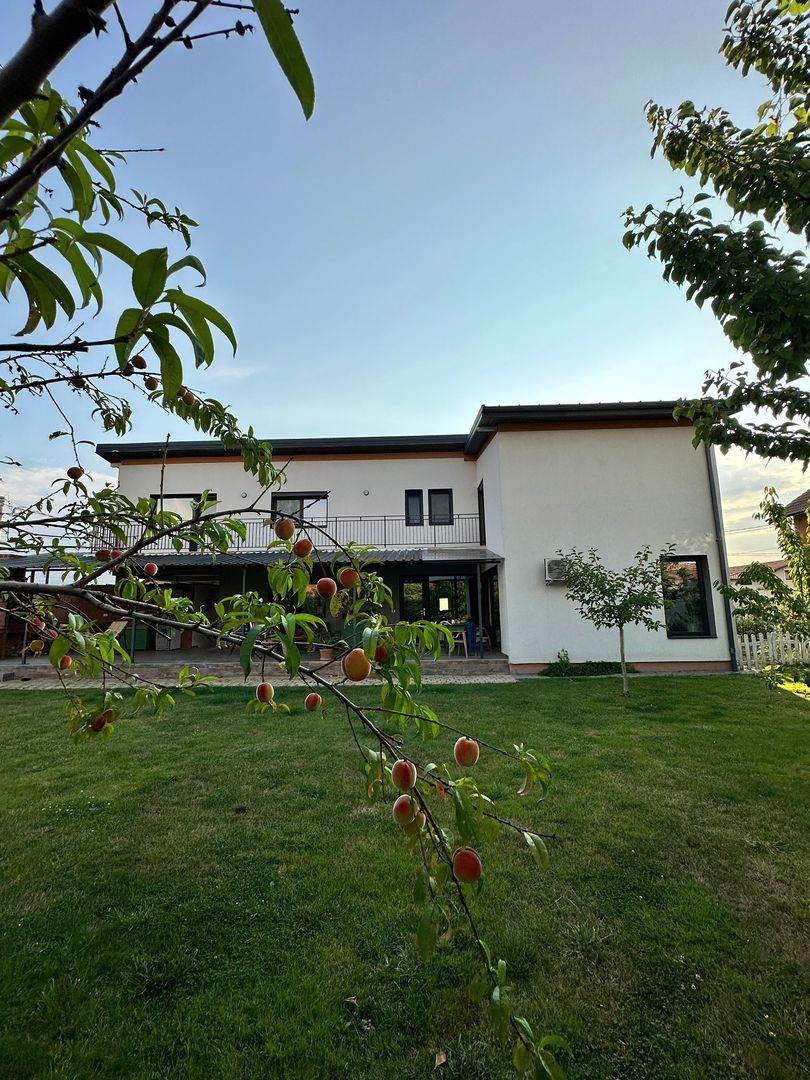 Vila Sinanadrei - Poză 11