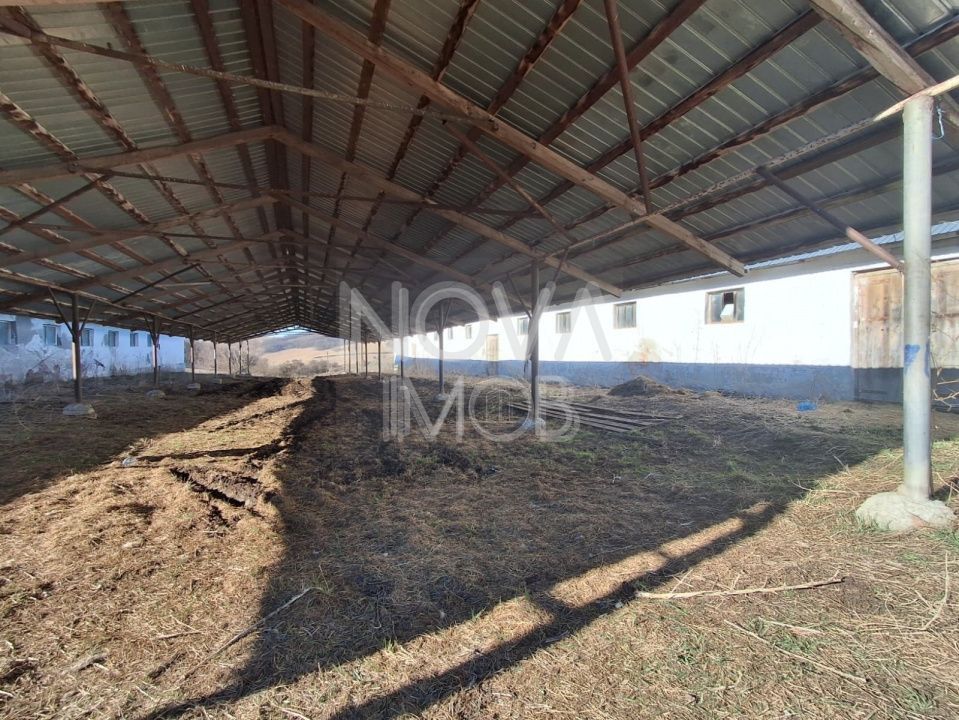 Ferma complet echipata de vanzare – zona Agnita, judetul Sibiu - Poză 9