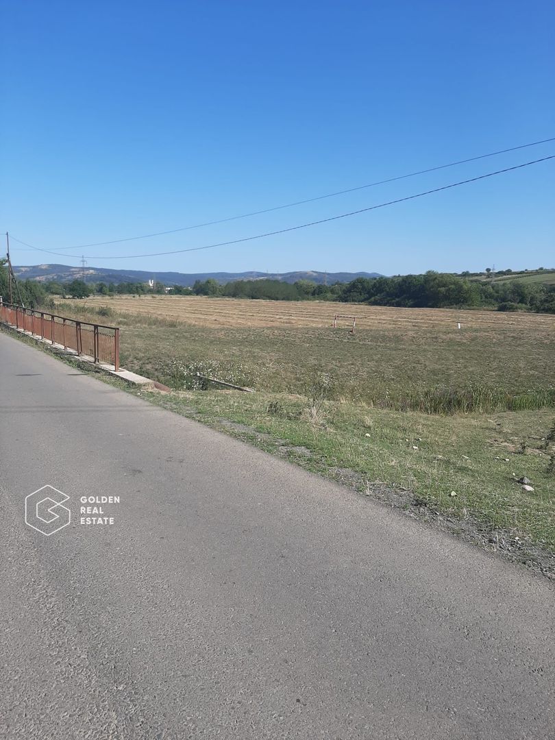 Terenuri 3699 mp, oras Lipova - Poză 2