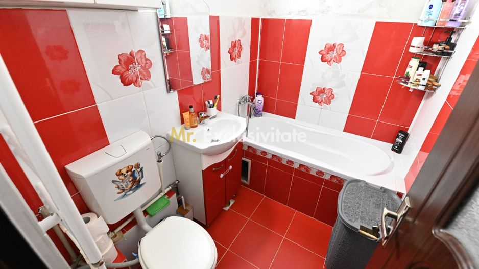 Apartament 2 camere - George Enescu - Poză 10