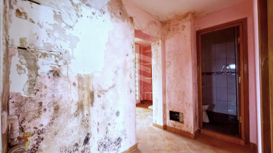Apartament 3 camere Colentina Doamna Ghica - Poză 19