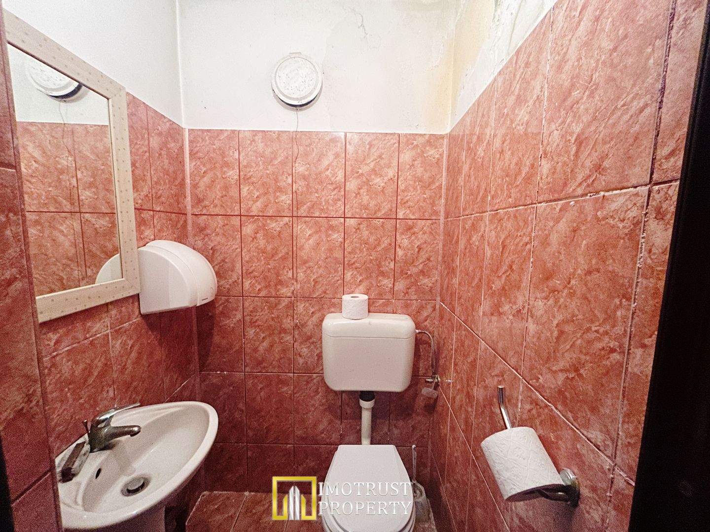 Spatiu comercial de vanzare zona Bou Rosu - Poză 5