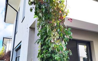 DE ÎNCHIRIAT – CASĂ TIP DUPLEX | PIPERA – PĂDUREA MATEI MILLO - Poză 2