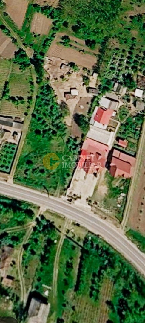 🏡 Teren intravilan 2.000 mp – DN28, la doar 38 km de Iași | 32.000 € - Poză 5
