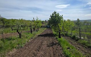 Teren intravilan 1500 mp, Tomesti – Chicerea, 10 km de Iasi, utilitati la limita - Poză 8