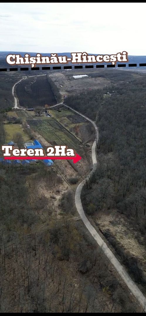 Pădure de vânzare - 2 Ha pentru Agroturism - Poză 3
