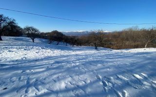 TEREN INTRAVILAN 8522 MP, CAMPULUNG - Poză 7