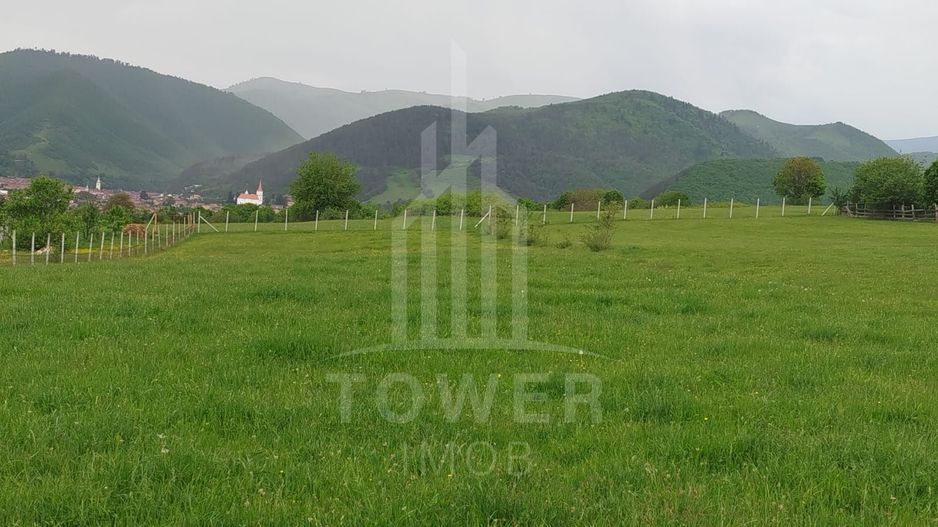 Teren de vinzare in Tropini Vechi - Poză 3