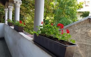 Apartament Natiunile Unite/Parcul Izvor - Poză 9