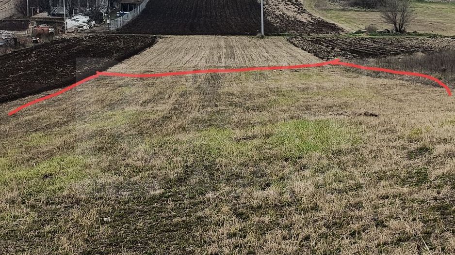 Vânzare, teren, 15,5 ari, strada Pavel Bechet, com. Băcioi - Poză 6