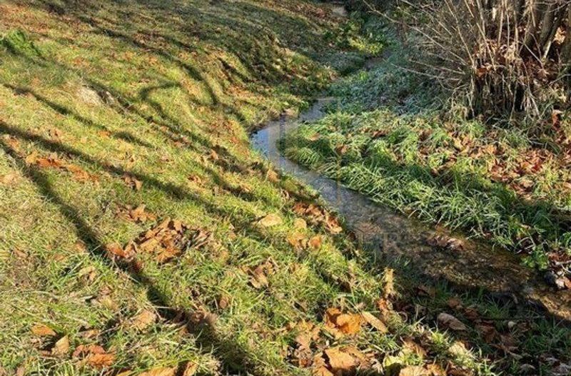 Teren 3349 mp de Vânzare | Bran – Panoramă Munții Bucegi - Poză 8