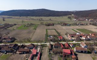 Loc de casă în Odvoș - Conop 3000mp - Poză 16