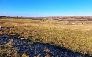 Teren extravilan-Dealul Sibiului - Poză 4