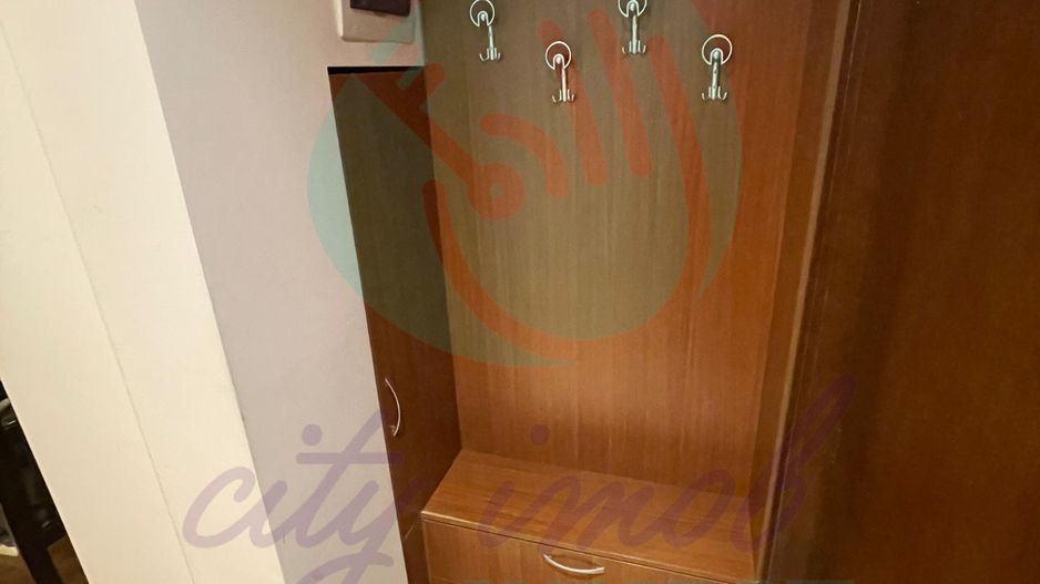 Locuinta BOEMA situata intre PARCUL CAROL SI PIATA UNIRII - Poză 14