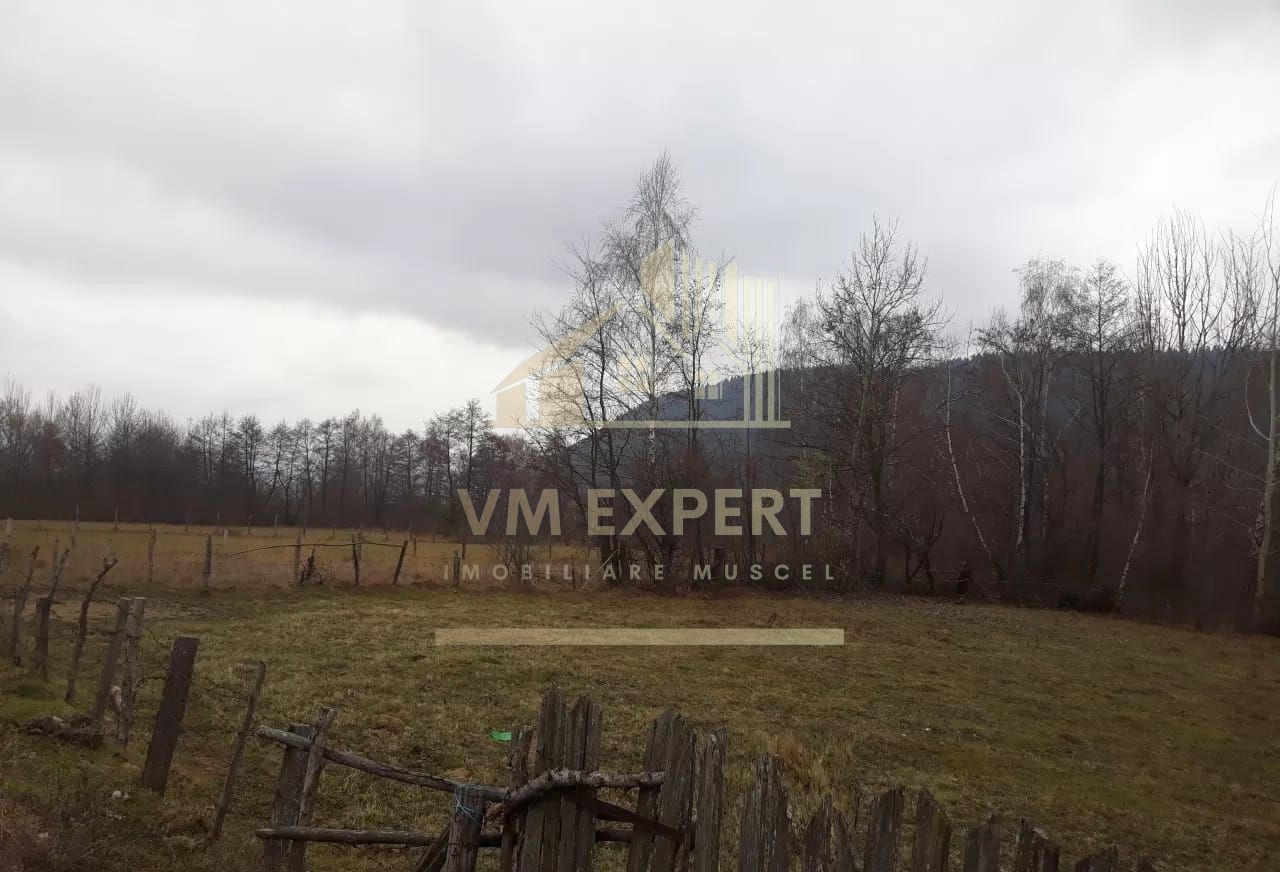 TEREN  INTRAVILAN 700 MP, LERESTI, ARGES - Poză 6