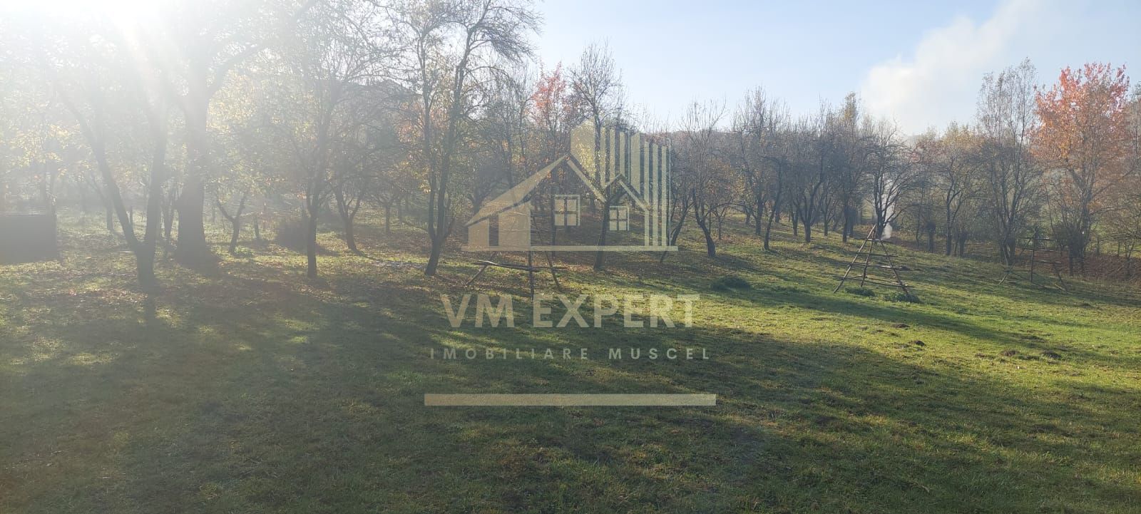 TEREN INTRAVILAN 3000 MP, CAMPULUNG - Poză 6