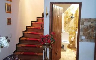 COTROCENI - Cuibușorul de nebunii al pictorului Zamfir DUMITRESCU - Poză 4