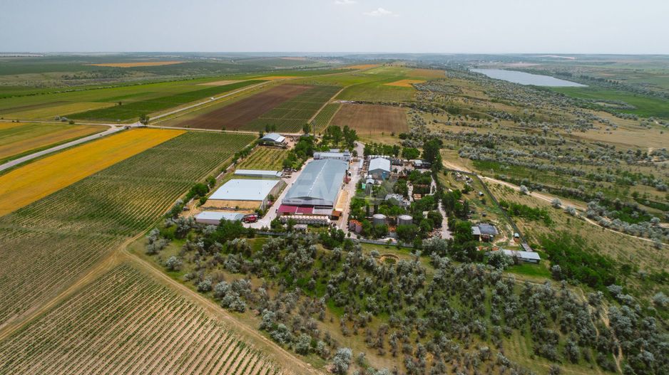 Complex Vitivinicol de Referință în Sudul Moldovei | 206 ha teren agricol | Investiție strategică - Poză 20