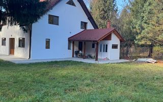 Pensiune/ Vila Valea Avrigului - Poză 4