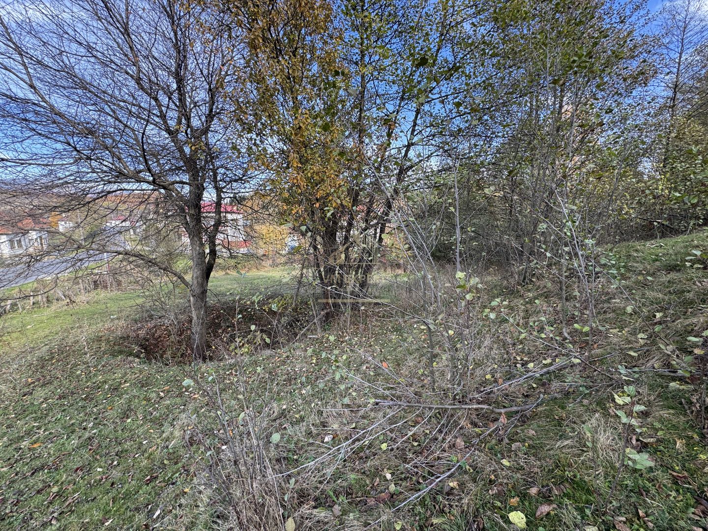 TEREN INTRAVILAN 13167 MP BUGHEA DE SUS ARGES - Poză 32