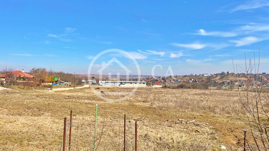 Teren 130.000 mp de vanzare in Paleu, Oradea - Poză 1