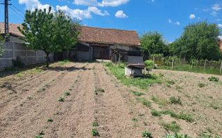 Casă traditională, 3 camere, 1766 mp teren, la asfalt, Vintu de Jos - Poză 5