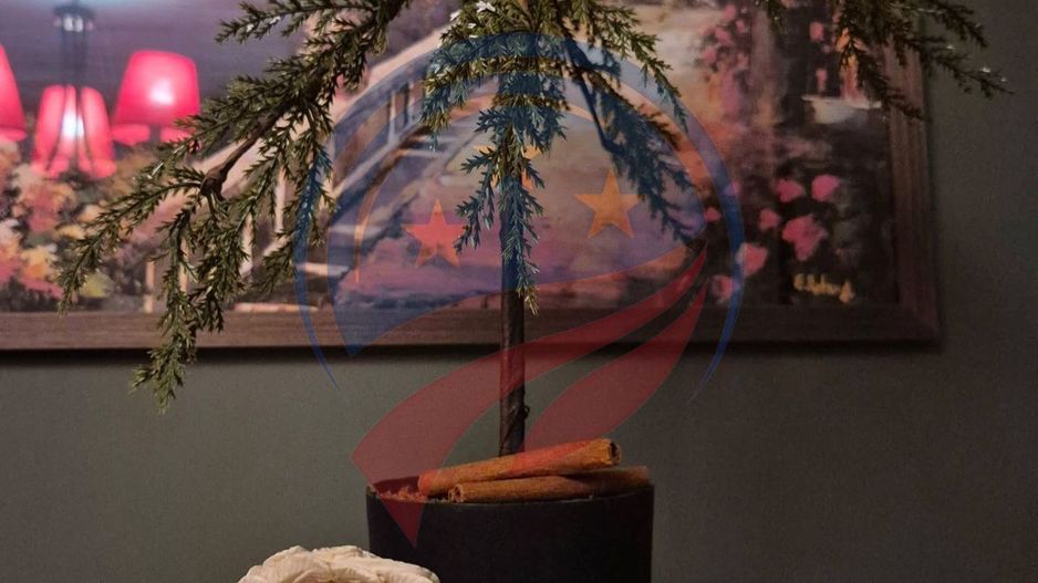 Garsoniere de inchiriat ultracentral - Poză 7