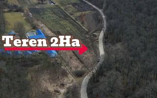 Pădure de vânzare - 2 Ha pentru Agroturism - Poză 3