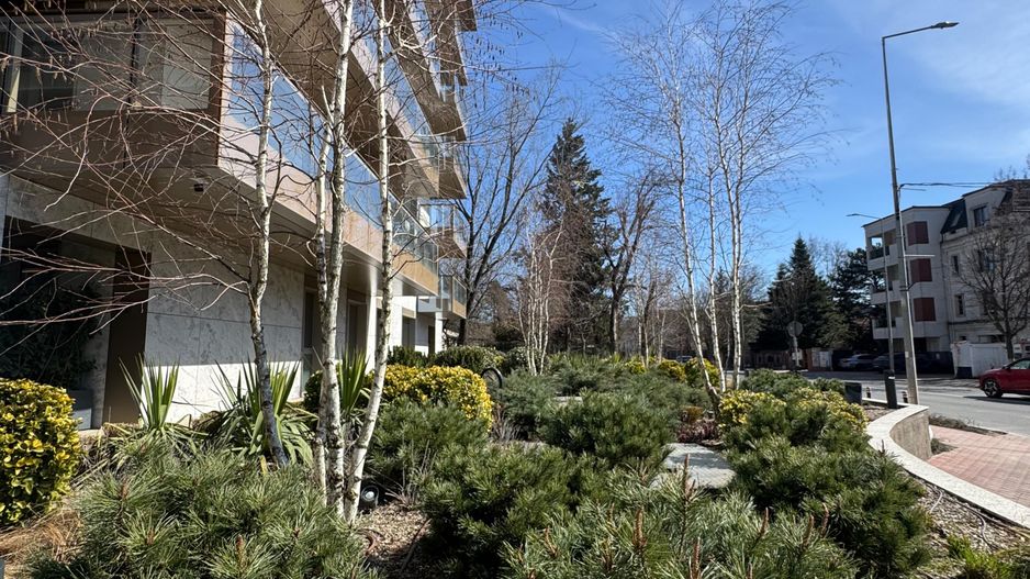 3 CAMERE || CORTINA 126 || EROUIANCU NICOLAE - Poză 12