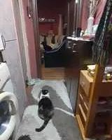 Ag EUROPA vinde ap 2 cam 48mp la etajul 4 în zona 14 Mai. - Poză 2