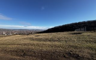 Oportunitate investiție 1153mp Tarnița - Micești - Poză 1