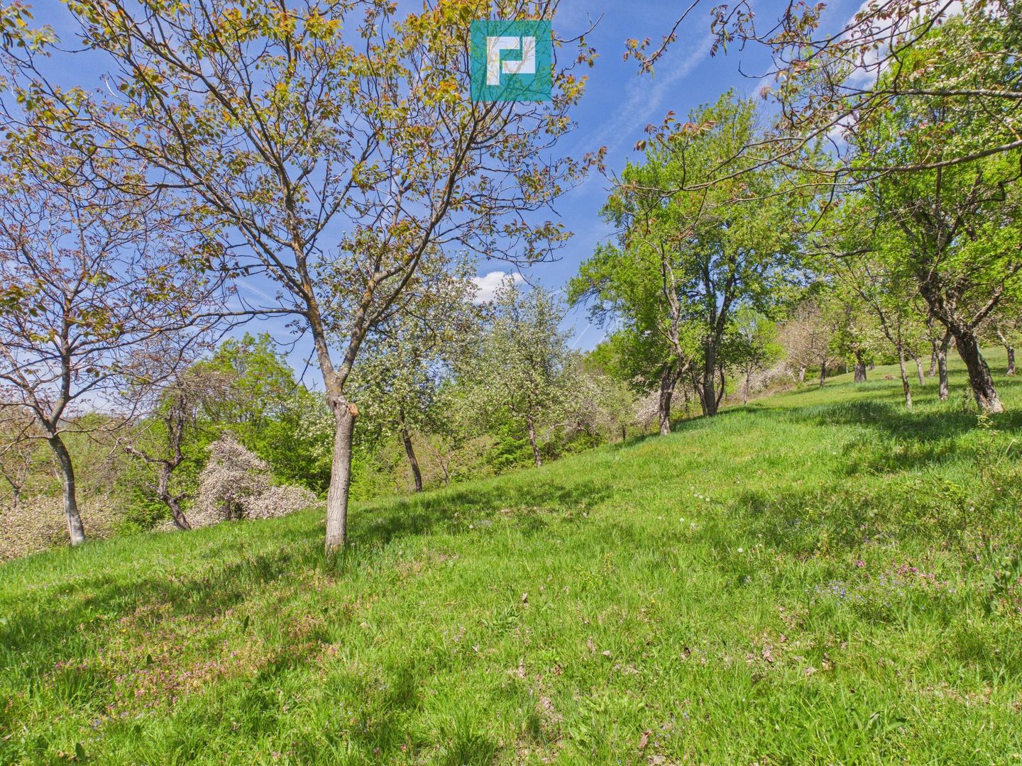 Proprietate rară cu 24.270 mp, în Măgulicea, Arad! - Poză 28