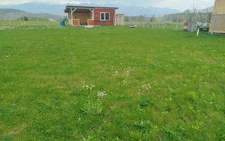 Grădină 862 mp cu cabanuta și pomi fructiferi – între Tălmaciu și Sadu - Poză 11