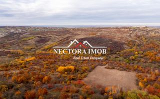 EXCLUSIVITATE Nectora Imob-Teren Intravilan cu panorama la lac,4837 mp - Poză 6